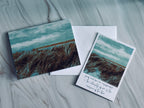 seasons of grief + loss